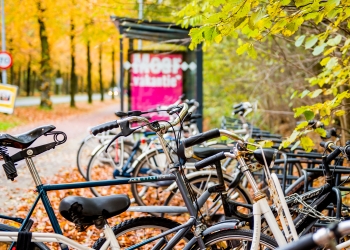 Fietsen bij halte