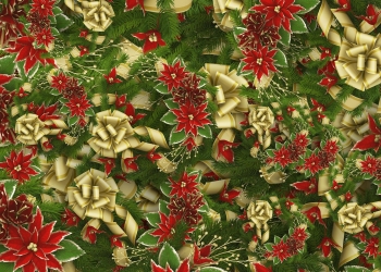 buurtbus op kerstavond