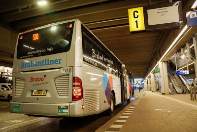 Brabantliners